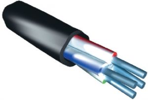 кабель купить Киев цена алюминиевый электрический силовой четырехжильный АВВГ 3х16 + 1х10 купити Київ ціна алюмінієвий електричний чотирижильний Бердичів Бердичев Бердянск Бердянськ Берегове Береговое Бережани Бережаны Березанка Березне Березное Берислав 